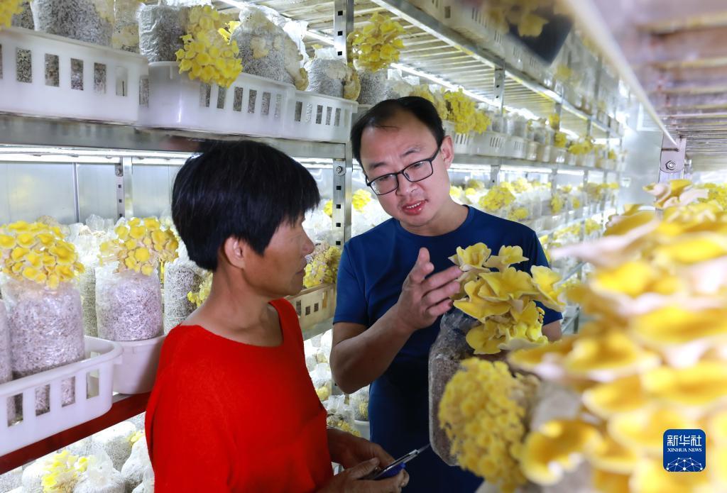 百老汇游戏网站